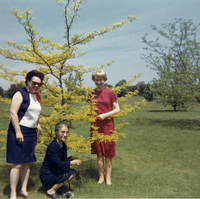 Photo Album, Cho Yamamoto and her daughters, Yuki and Fumi Yamamoto, Image 7