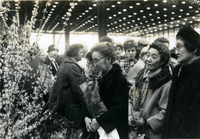 Issei Social Program, Item 33: Visit to Flower Show, McCormick Place, Chicago