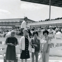 https://digitalcollections.jasc-chicago.org/TEMPfiles/RG10_b7_f30_002_Lo_IsseiSocialProgramTrips1976.jpg