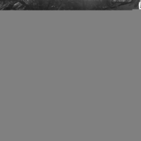 Sumo, July 11, 1948