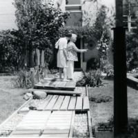 https://digitalcollections.jasc-chicago.org/TEMPfiles/RG10_b7_f30_003_Lo_IsseiSocialProgramTrips1976.jpg
