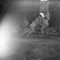 http://digitalcollections.jasc-chicago.org/TEMPfiles/1999.002_Sumo1_1.8b.jpg