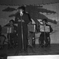 http://digitalcollections.jasc-chicago.org/TEMPfiles/1999.002Flower Festival1_1.3n.jpg