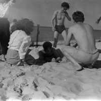 http://digitalcollections.jasc-chicago.org/TEMPfiles/1999.002_Picnic_1.20e.jpg