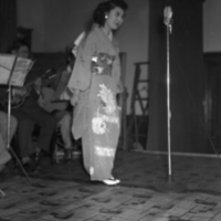 http://digitalcollections.jasc-chicago.org/TEMPfiles/1999.002Flower Festival1_1.3q.jpg