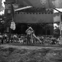http://digitalcollections.jasc-chicago.org/TEMPfiles/1999.002_Sumo1_1.8c.jpg