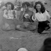http://digitalcollections.jasc-chicago.org/TEMPfiles/1999.002_Picnic_1.20d.jpg