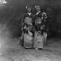 http://digitalcollections.jasc-chicago.org/TEMPfiles/1999.002_Teiju_1.23a.jpg