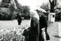 Issei Social Program, Item 63, front: Issei visit Lilacia Park, Lombard, Illinois