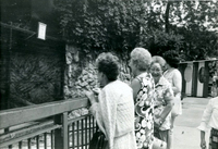 Issei Social Program, Item 4, front: Issei enjoying trip to Lincoln Park Zoo. Second from right: Mrs. Myrtle Hattori